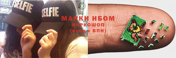прущие грибы Алексин